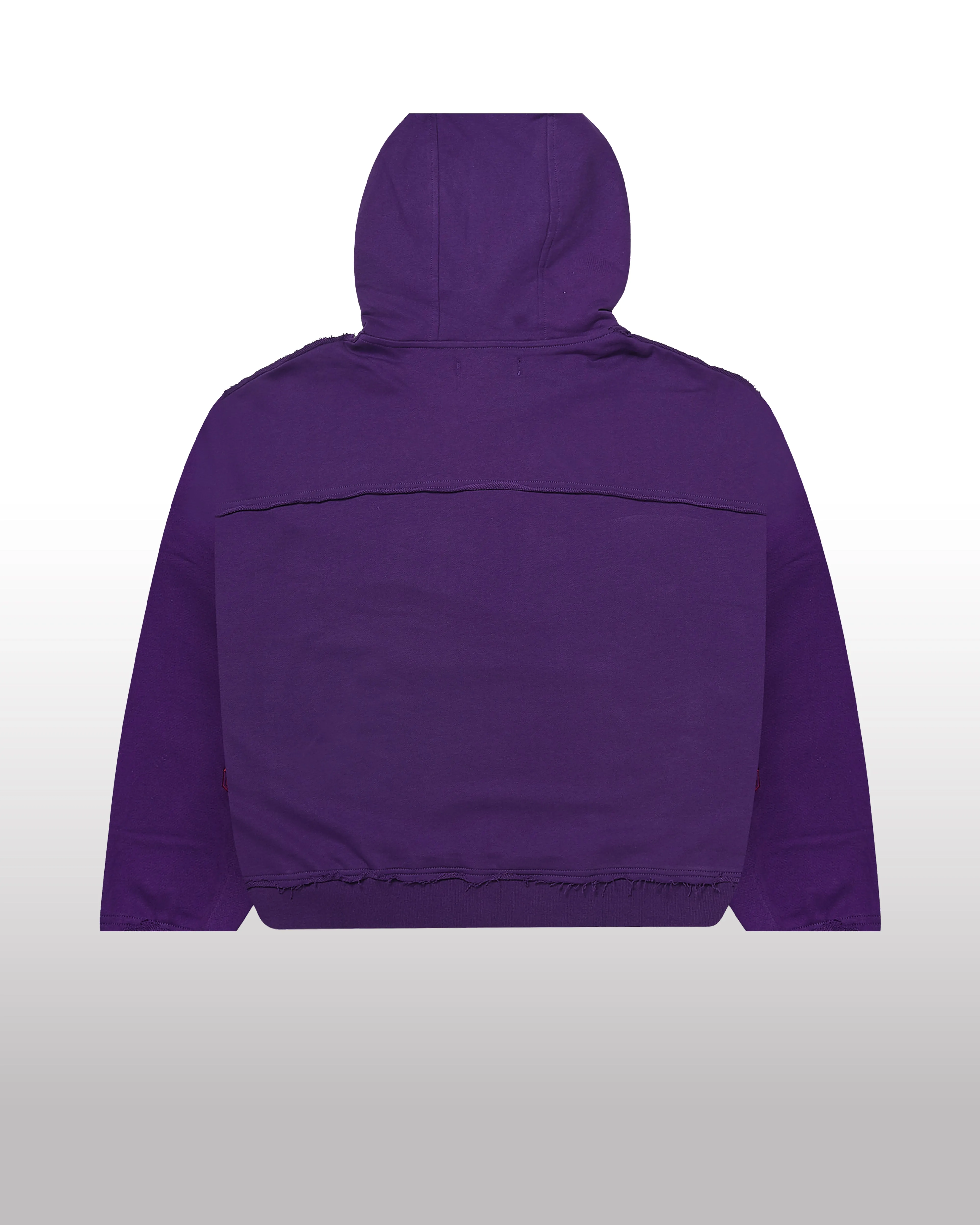 Baptized in Hell Hoodie Purple