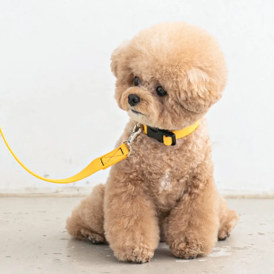 Candy Crayon Collar - Yellow