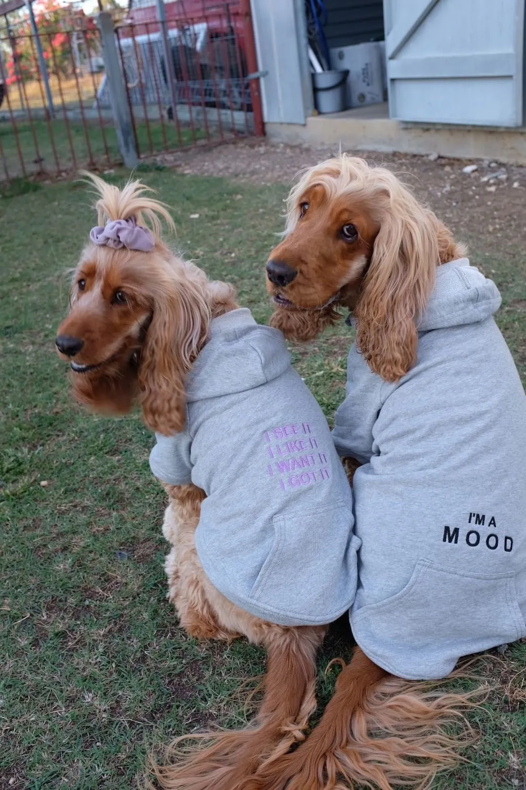 Custom DOG hoodies