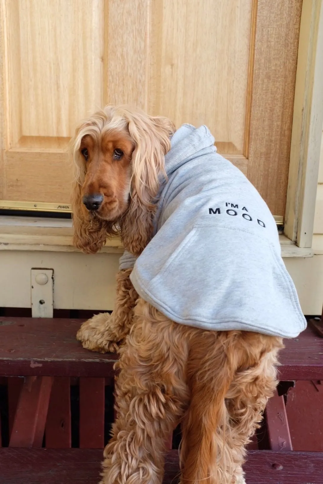 Custom DOG hoodies