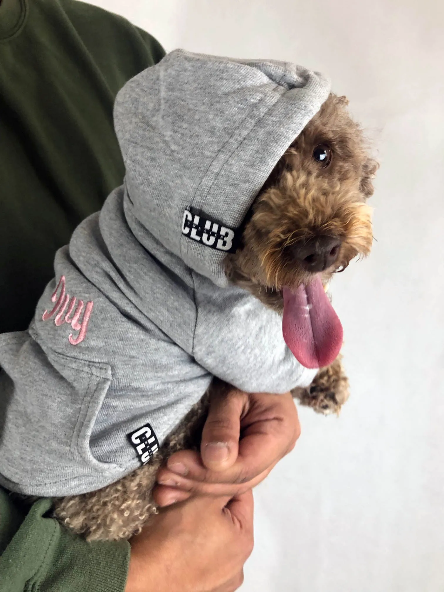 Custom DOG hoodies