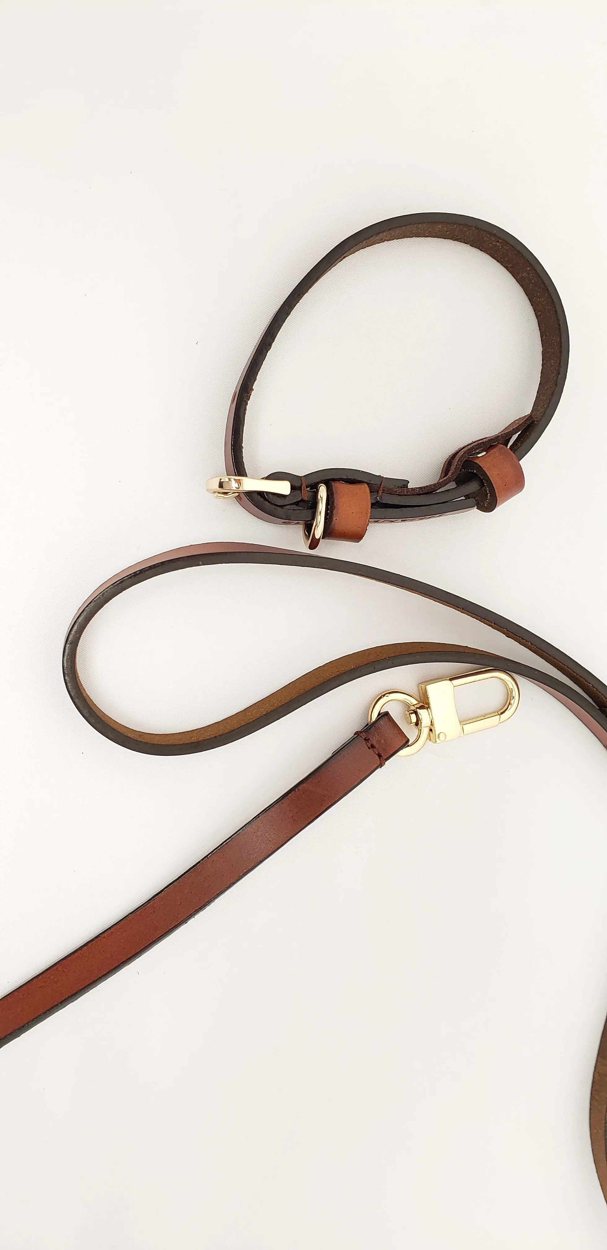 Dog Leash and Collar Set Brown - Small