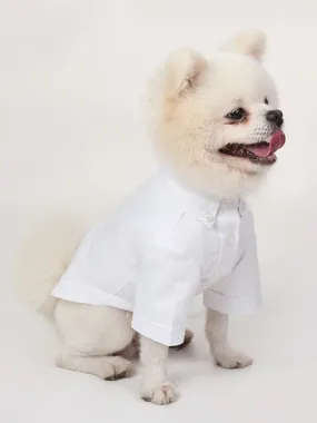 Dog Stylish White Button-Up Shirt