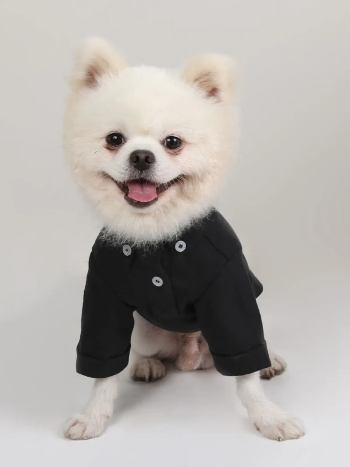 Dog Stylish White Button-Up Shirt