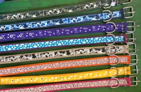 Economy Nylon Dog Collar - MEDIUM