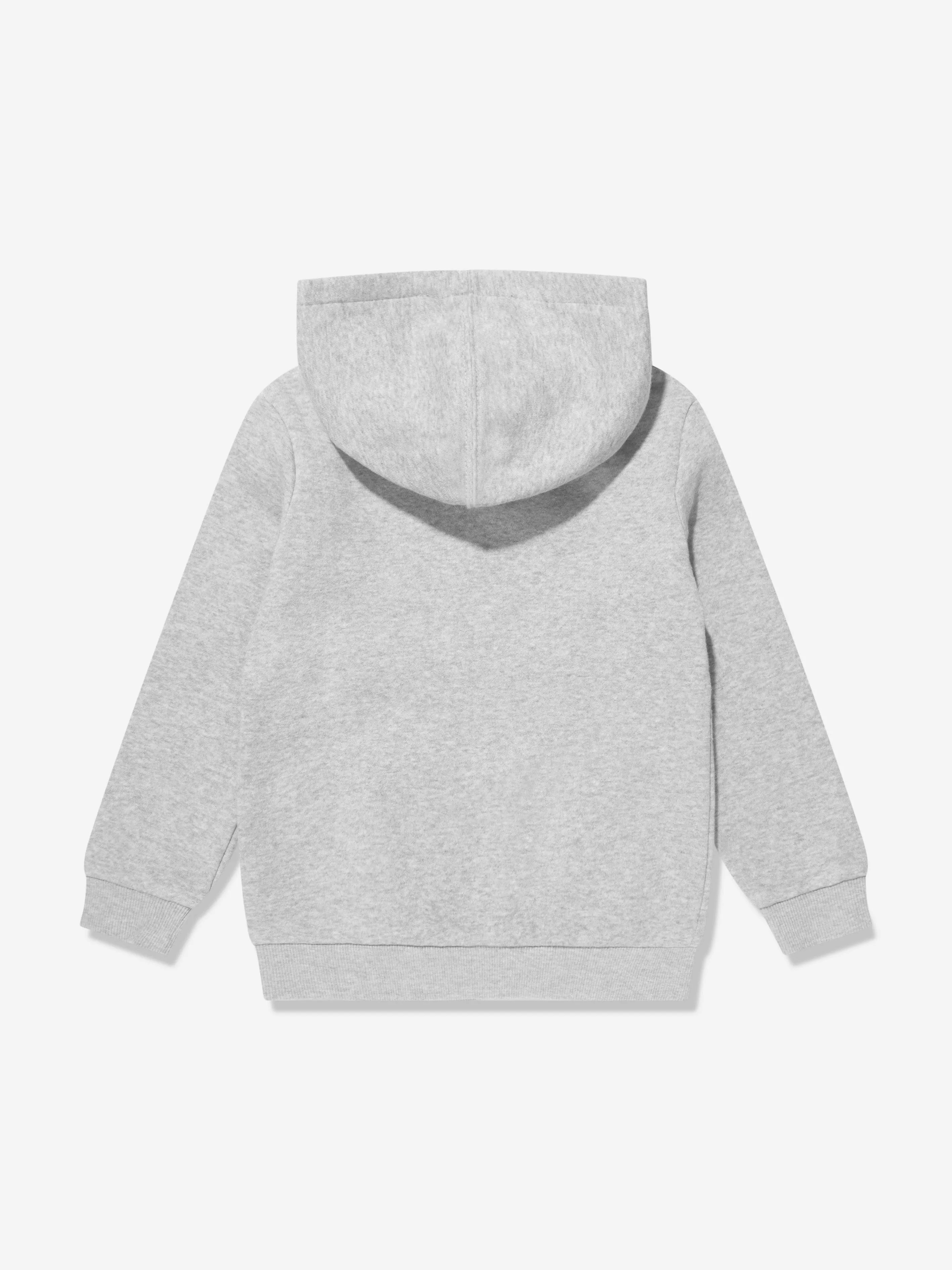 Levi's Boys Batwing Screenprint Hoodie in Grey