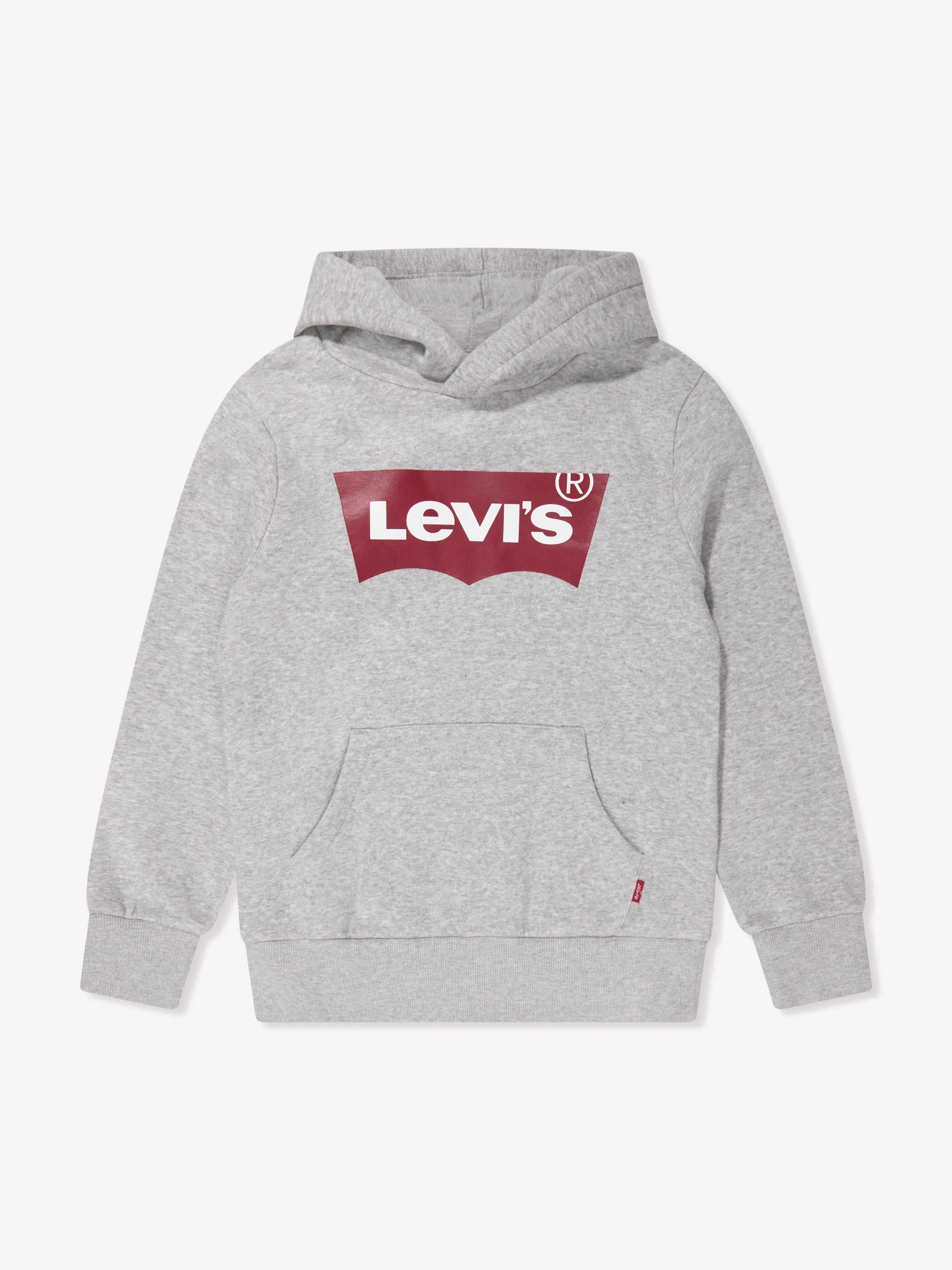 Levi's Boys Batwing Screenprint Hoodie in Grey