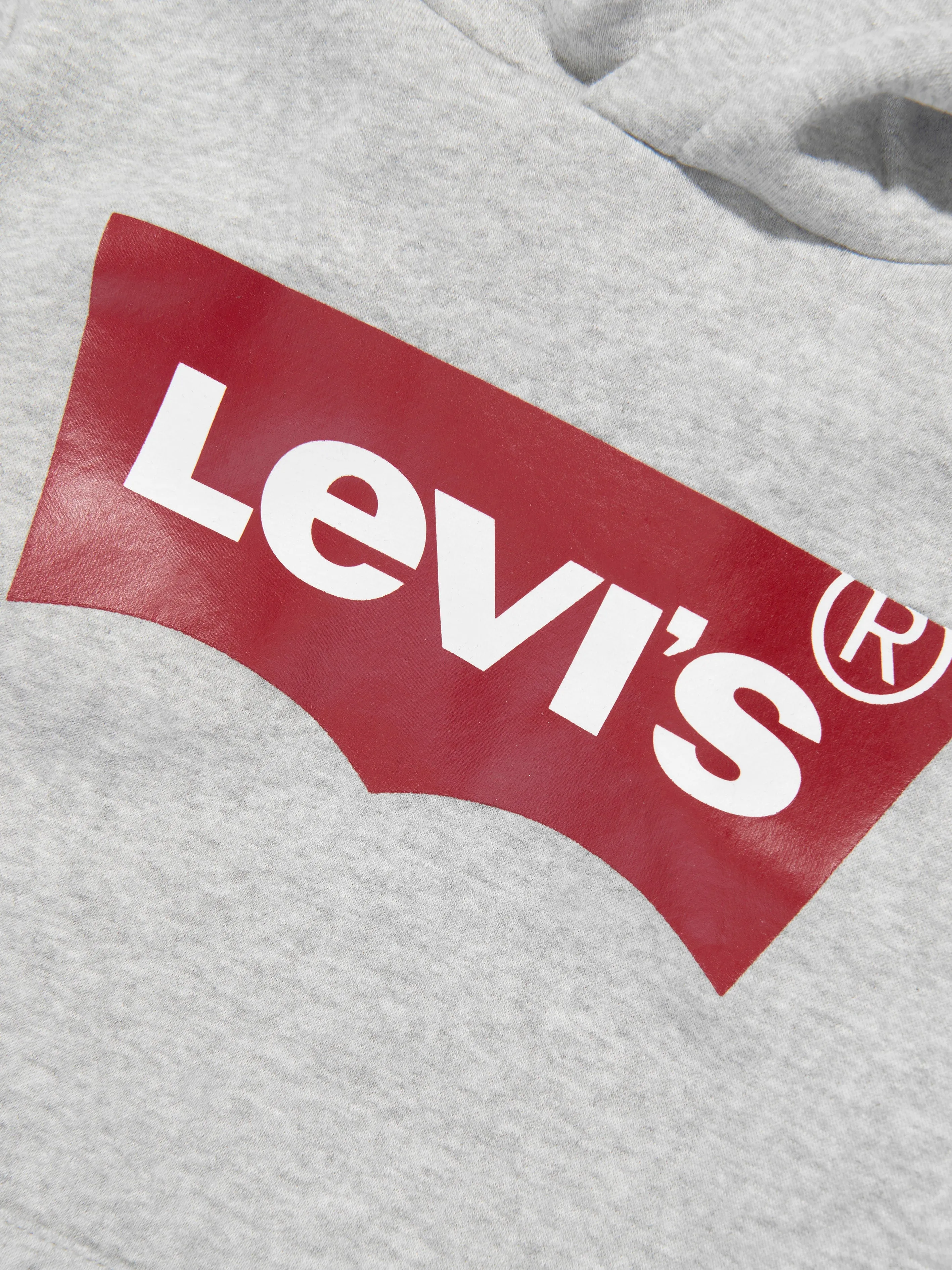 Levi's Boys Batwing Screenprint Hoodie in Grey