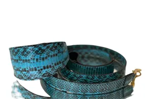 Luxury Pet Fashion Turquoise Black Snakeskin Collar & Leash Set