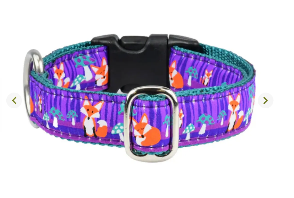 Nocturnal Fox & Mushroom Dog Collar and/or Leash