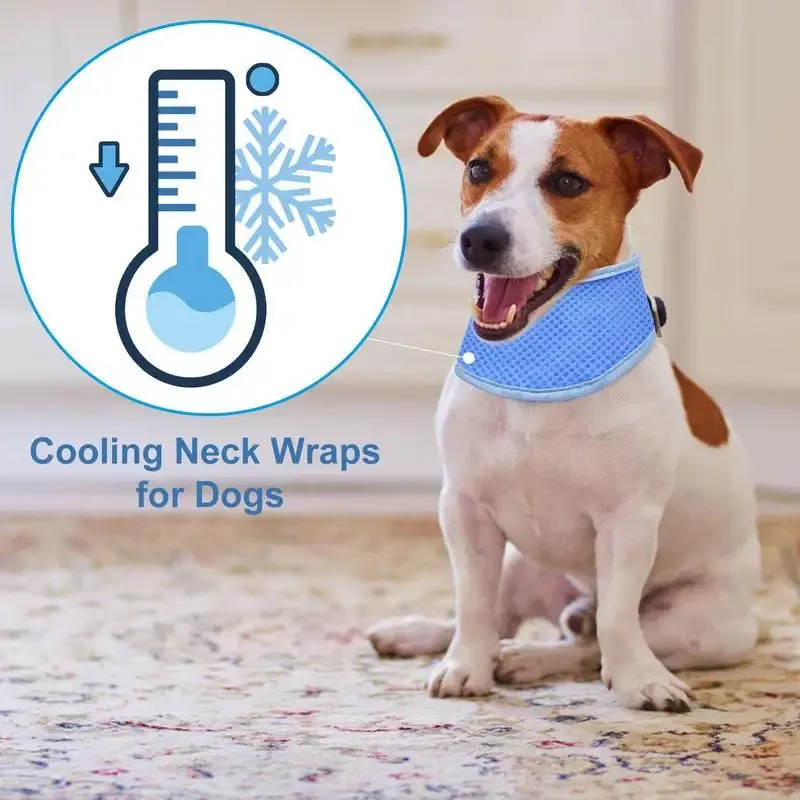 Pat and Pet Emporium | Pet Collars | Instant Cooling Dog Collar