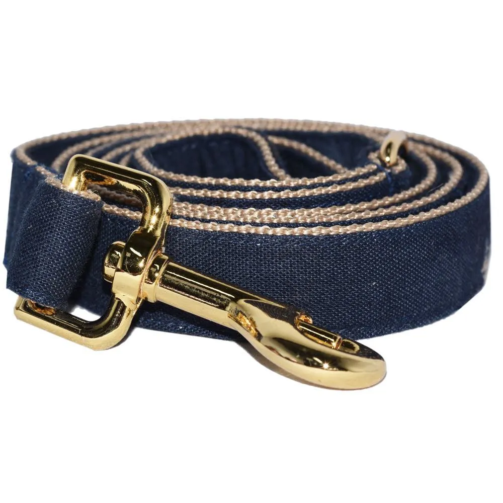 Pattefrenz Petsi Gold Collar & Leash Set (Medium)