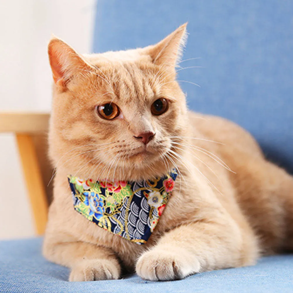 PAWS ASIA Supplier Cheap Stylish Fancy Colorful Mixed Patterns Cute Cat Bandana Collar