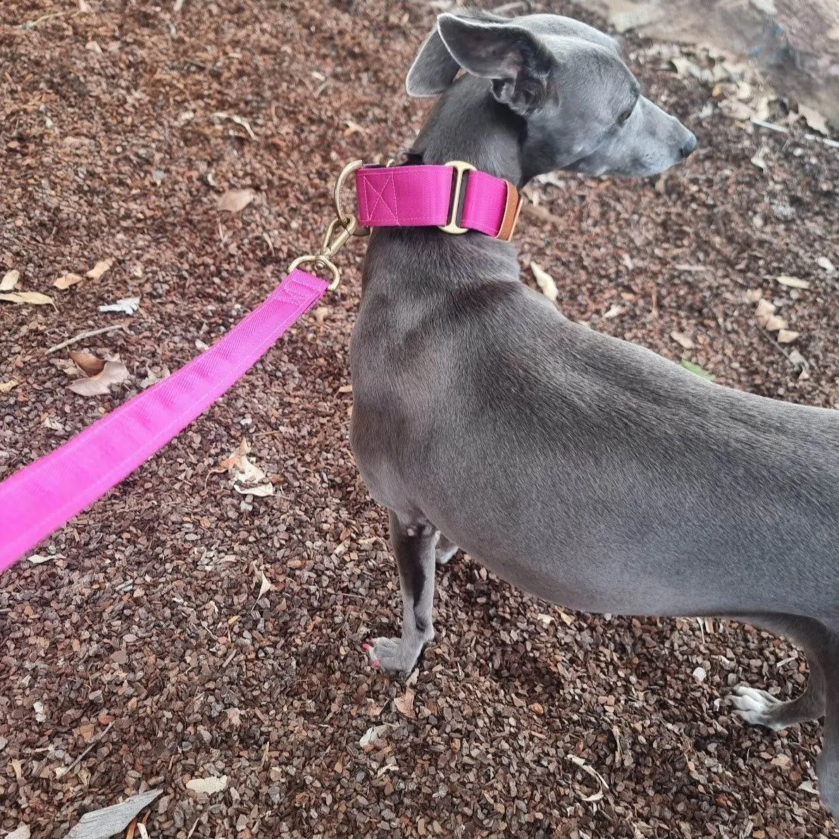 Pink Dog Leash - Neoprene Padded