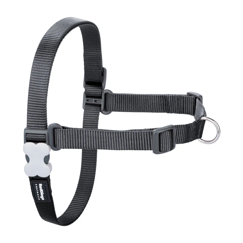 Red Dingo No-Pull Harness