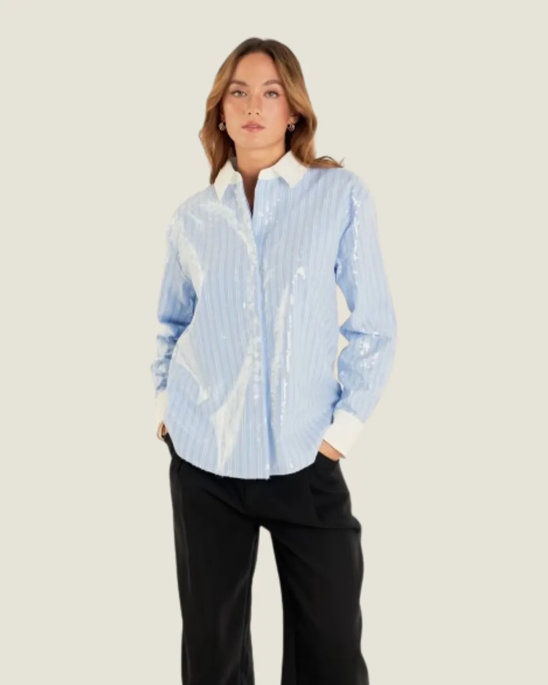 The Moroney: Sequin Stripe Long Sleeve Shirt