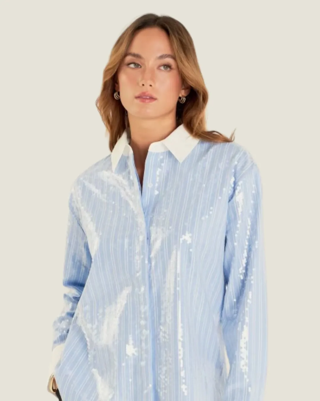 The Moroney: Sequin Stripe Long Sleeve Shirt